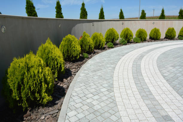 Reasons to Select Us for Your Driveway Paving Requirements in West Freehold, NJ